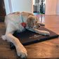 Fusion Kennel Pad - Large