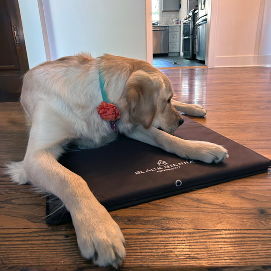 Fusion Kennel Pad - Large