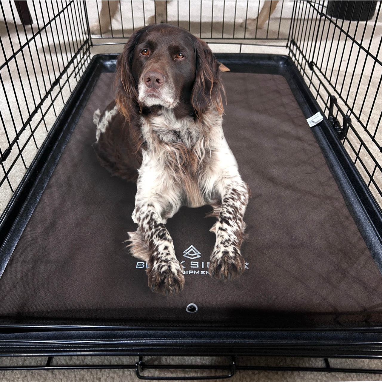 Fusion Kennel Pad - XL