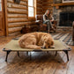 Legacy XL Folding Dog Cot
