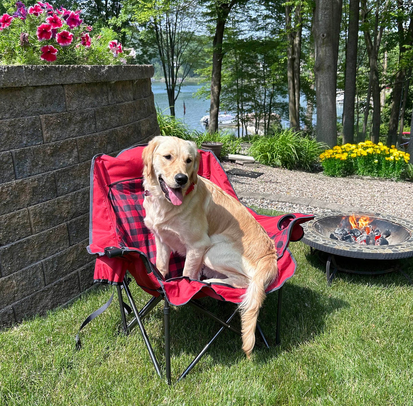 Comfort Cloud Chair - Buffalo Check
