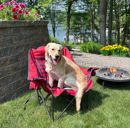 Comfort Cloud Chair - Buffalo Check